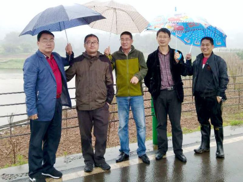 金沙bjs线路检测中心园林绿化维护