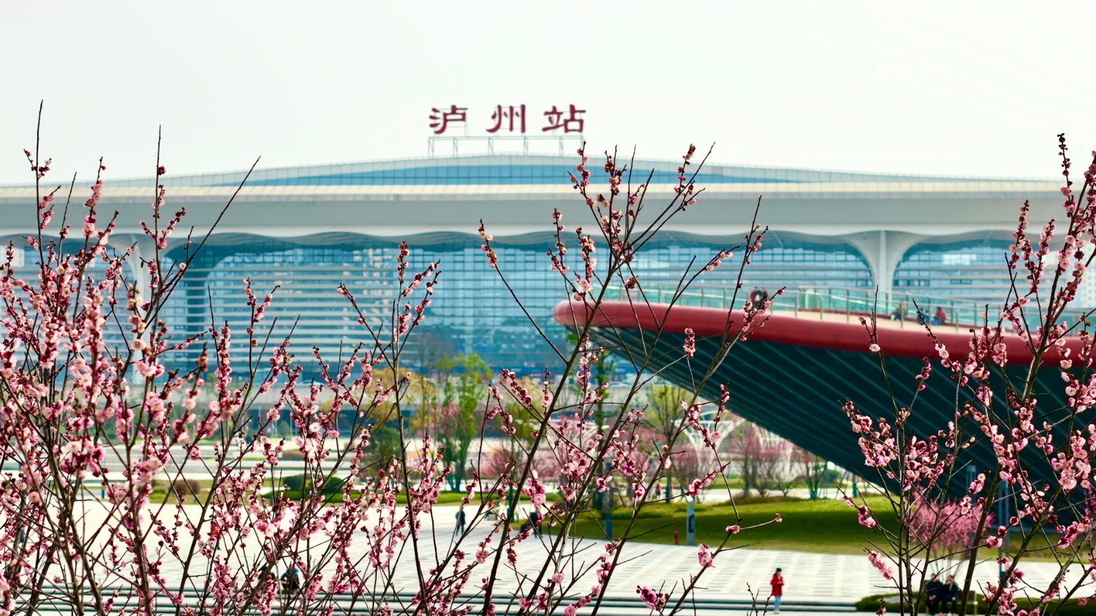 金沙bjs线路检测中心园林绿化维护